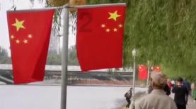 迷人的妖精